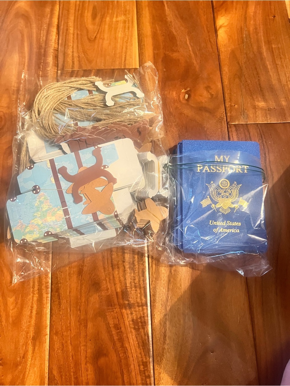 Adventure globe travel birthday party boxes and passports
